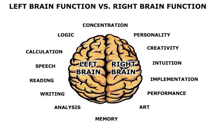 otak kiri dan otak kanan